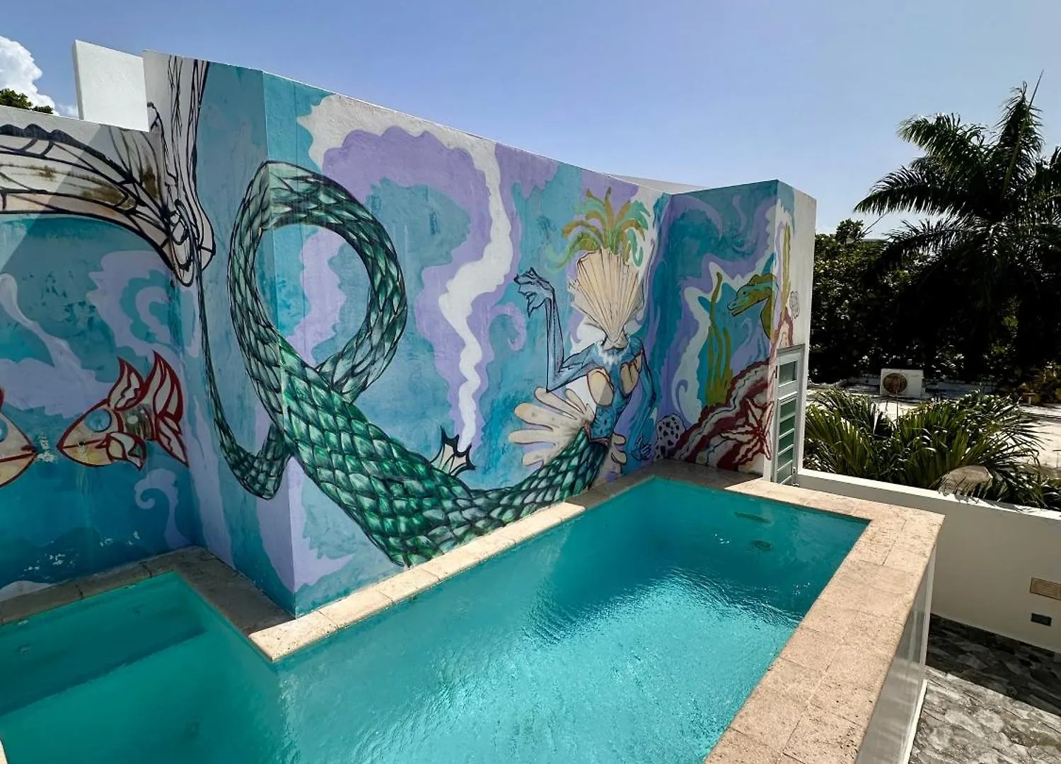 Vakantiehuis Estrella Urban Oasis Private Rooftop Pool And Patio San Juan Puerto Rico
