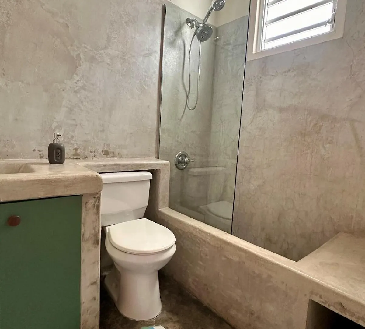 Vakantiehuis Estrella Urban Oasis Private Rooftop Pool And Patio San Juan