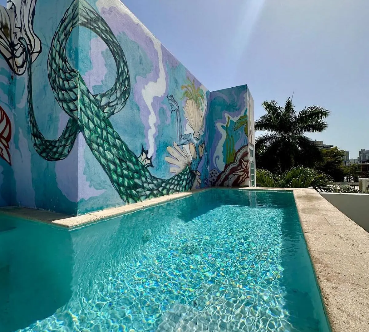 Estrella Urban Oasis Private Rooftop Pool And Patio San Juan Vakantiehuis